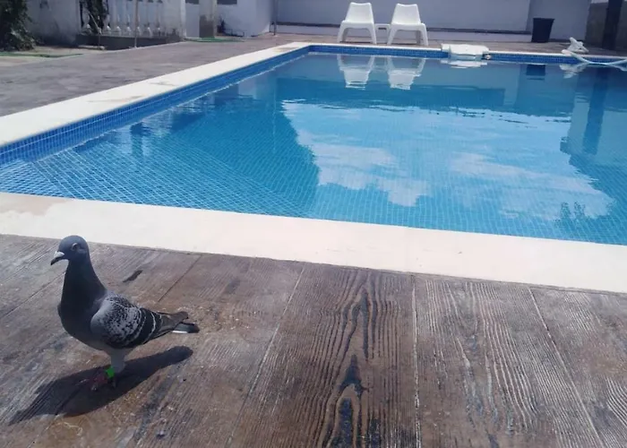 La Berruca * Мальпартида-де-Касерес